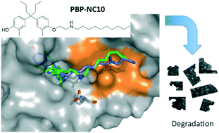 Graphical abstract: Design and synthesis of novel selective estrogen receptor degradation inducers based on the diphenylheptane skeleton