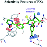 Graphical abstract: 3D proteochemometrics: using three-dimensional information of proteins and ligands to address aspects of the selectivity of serine proteases
