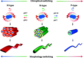 Graphical abstract: Engineering molecular self-assembly of perylene diimide through pH-responsive chiroptical switching