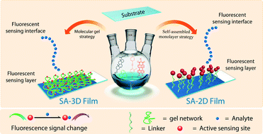 Graphical abstract: Recent advances in fluorescent film sensing from the perspective of both molecular design and film engineering