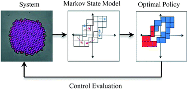 Graphical abstract: The construction and application of Markov state models for colloidal self-assembly process control