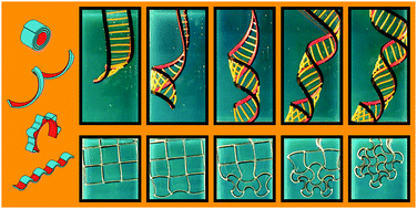 Graphical abstract: Programming the shape-shifting of flat soft matter: from self-rolling/self-twisting materials to self-folding origami