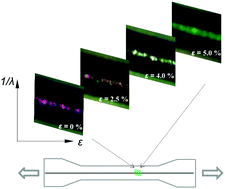 Graphical abstract: Variable structural colouration of composite interphases