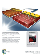 Graphical abstract: Back cover