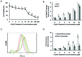Graphical abstract: The role of STIM1 in the Cr(vi)-induced [Ca2+]i increase and cell injury in L-02 hepatocytes
