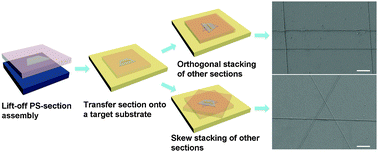 Graphical abstract: Transfer and control of the orientation of 3D nanostructures fabricated by nanoskiving