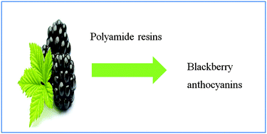 Graphical abstract: A polyamide resin based method for adsorption of anthocyanins from blackberries