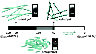 Graphical abstract: Tuning of gel morphology with supramolecular chirality amplification using a solvent strategy based on an Fmoc-amino acid building block