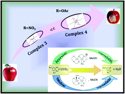 Graphical abstract: Catecholase activity of Mannich-based dinuclear CuII complexes with theoretical modeling: new insight into the solvent role in the catalytic cycle
