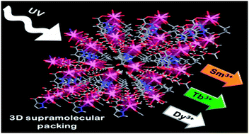 Graphical abstract: Rare earth coordination dinuclear compounds constructed from 3,5-dicarboxypyrazolate and succinate intermetallic bridges