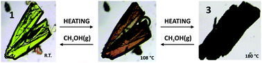 Graphical abstract: Correlation between structural, physical and chemical properties of three new tetranuclear NiII clusters