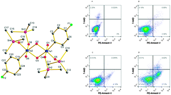 Graphical abstract: A novel 4-fluorobenzenetelluronic trimethyltin ester: synthesis, characterization and in vitro cytotoxicity assessment