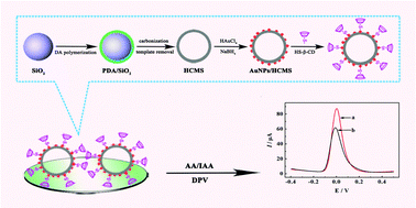 Graphical abstract: Enantioselective recognition of ascorbic acid and isoascorbic acid on HS-β-cyclodextrin/gold nanoparticles/hollow carbon microspheres hybrid modified electrodes