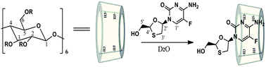 Graphical abstract: Cyclodextrin assisted enantiomeric recognition of emtricitabine by 19F NMR spectroscopy