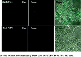 Graphical abstract: Fluorescent carbon dots derived from vancomycin for flutamide drug delivery and cell imaging