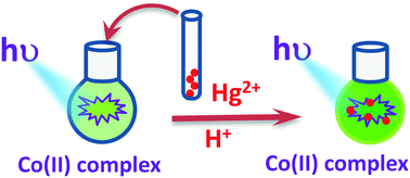 Graphical abstract: A Co(ii) complex of a vitamer of vitamin B6 acts as a sensor for Hg2+ and pH in aqueous media