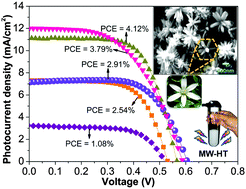 Graphical abstract: Investigation of the effect of reaction parameters on the microwave-assisted hydrothermal synthesis of hierarchical jasmine-flower-like ZnO nanostructures for dye-sensitized solar cells