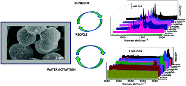 Graphical abstract: Recyclable SERS substrates based on Fe2O3–Ag hybrid hollow microspheres with crumpled surfaces