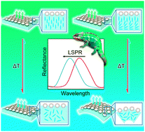 Graphical abstract: A color-changing plasmonic actuator based on silver nanoparticle array/liquid crystalline elastomer nanocomposites