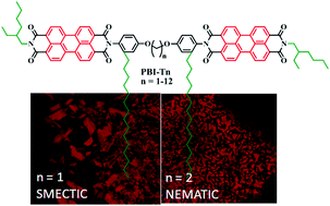 Graphical abstract: The synthesis and structural characterization of twin liquid crystalline perylenebisimides