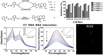 Graphical abstract: Anti-proliferative activity and DNA/BSA interactions of five mono- or di-organotin(iv) compounds derived from 2-hydroxy-N′-[(2-hydroxy-3-methoxyphenyl)methylidene]-benzohydrazone