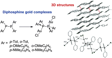 Graphical abstract: Synthesis and solid-state structures of gold(i) complexes of diphosphines