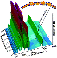 Graphical abstract: A combined experimental and theoretical approach to study SmC → NcybC phase transition in a four-ring bent-core liquid crystal