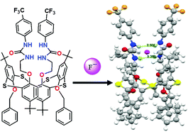 Graphical abstract: A study of anion binding behaviour of 1,3-alternate thiacalix[4]arene-based receptors bearing urea moieties