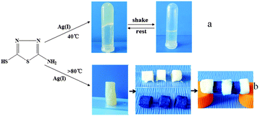 Graphical abstract: A metal–organic gel based on silver salt and 2-amino-5-mercapto-1,3,4-thiadiazole with high antibacterial activity and excellent dye adsorption performance