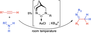 Graphical abstract: Room temperature hydroamination of alkynes with anilines catalyzed by anti-Bredt di(amino)carbene gold(i) complexes