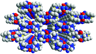 Graphical abstract: Syntheses, structures, and magnetic properties of three new cyano-bridged heterobimetallic chains based on [Fe(Tp*)(CN)3]−