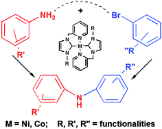 Graphical abstract: Earth abundant metal complexes of donor functionalised N-heterocyclic carbene ligands: synthesis, characterisation and application as amination catalysts