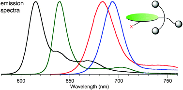 Graphical abstract: Bioconjugatable, PEGylated hydroporphyrins for photochemistry and photomedicine. Narrow-band, red-emitting chlorins