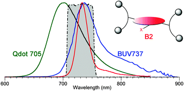 Graphical abstract: Bioconjugatable, PEGylated hydroporphyrins for photochemistry and photomedicine. Narrow-band, near-infrared-emitting bacteriochlorins