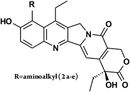 Graphical abstract: New generation of camptothecin derivatives spontaneously alkylating DNA