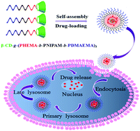 Graphical abstract: Synthesis of a dual pH and temperature responsive star triblock copolymer based on β-cyclodextrins for controlled intracellular doxorubicin delivery release