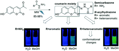Graphical abstract: Microwave-assisted synthesis and photophysical studies of novel fluorescent N-acylhydrazone and semicarbazone-7-OH-coumarin dyes