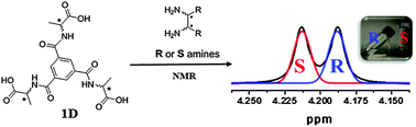 Graphical abstract: NMR detection of chirality and enantiopurity of amines by using benzene tricarboxamide-based hydrogelators as chiral solvating agents