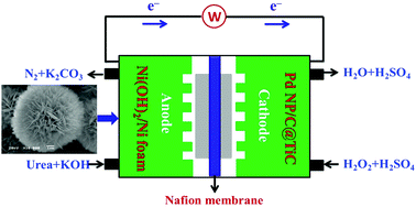 Graphical abstract: Facile preparation of three-dimensional Ni(OH)2/Ni foam anode with low cost and its application in a direct urea fuel cell
