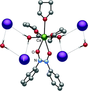 Graphical abstract: Selective modification of the metal coordination environment in heavy alkaline–earth iodide complexes