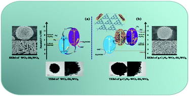 Graphical abstract: g-C3N4 modified flower-like WO3–Bi2WO6 microspheres with enhanced photoelectrocatalytic activity