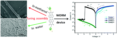 Graphical abstract: A self-assembling amphiphilic perylene bisimide and its application for WORM memory devices