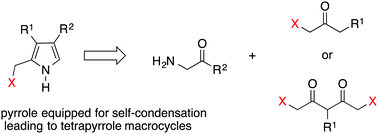 Graphical abstract: Synthesis of diverse acyclic precursors to pyrroles for studies of prebiotic routes to tetrapyrrole macrocycles