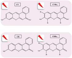 Graphical abstract: Novel oxazine and oxazone dyes: aggregation behavior and physicochemical properties