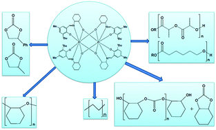 Graphical abstract: Synthesis and structural characterization of titanium and zirconium complexes containing half-salen ligands as catalysts for polymerization reactions