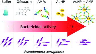 Graphical abstract: Small gold nanocomposites obtained in reverse micelles as nanoreactors. Effect of surfactant, optical properties and activity against Pseudomonas aeruginosa