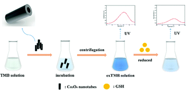 Graphical abstract: Triple-enzyme mimetic activity of Co3O4 nanotubes and their applications in colorimetric sensing of glutathione