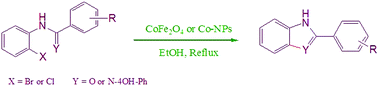 Graphical abstract: A comparative study of the catalytic activity of Co- and CoFe2O4-NPs in C–N and C–O bond formation: synthesis of benzimidazoles and benzoxazoles from o-haloanilides