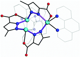 Graphical abstract: Effect of N ancillary ligands on the structure, nuclearity and magnetic behavior of Cu(ii)–pyrazolecarboxylate complexes