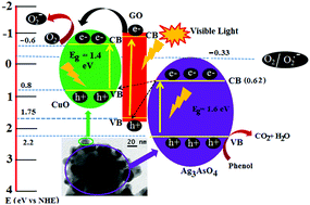 Graphical abstract: A novel ternary CuO decorated Ag3AsO4/GO hybrid as a Z-scheme photocatalyst for enhanced degradation of phenol under visible light